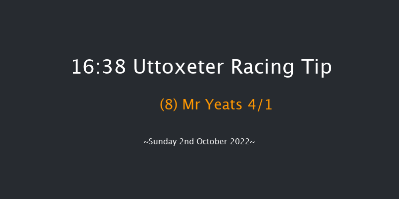 Uttoxeter 16:38 Handicap Hurdle (Class 3) 23f Tue 13th Sep 2022