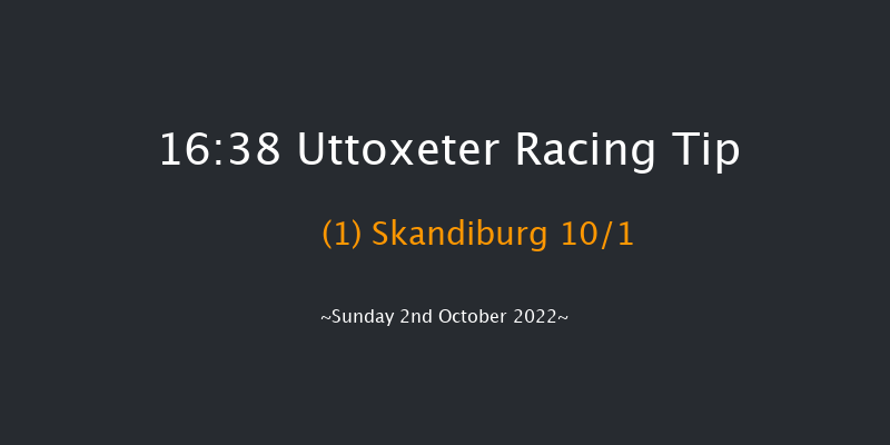 Uttoxeter 16:38 Handicap Hurdle (Class 3) 23f Tue 13th Sep 2022