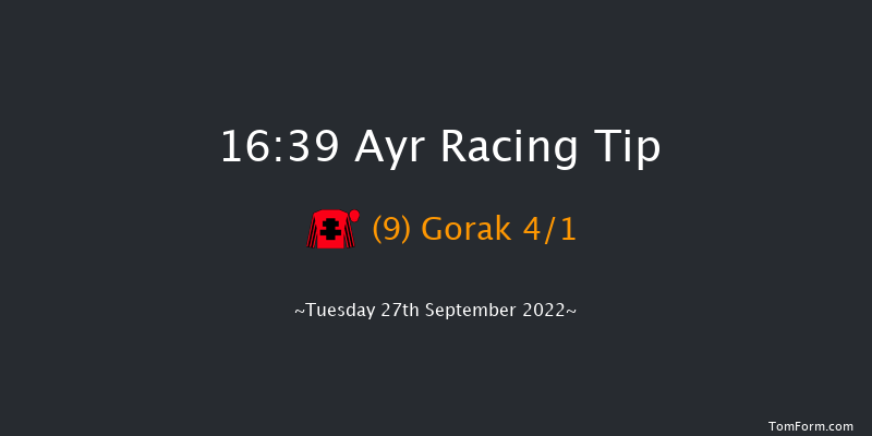 Ayr 16:39 Handicap (Class 4) 10f Sat 17th Sep 2022