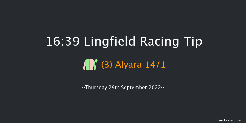 Lingfield 16:39 Handicap (Class 5) 8f Tue 20th Sep 2022