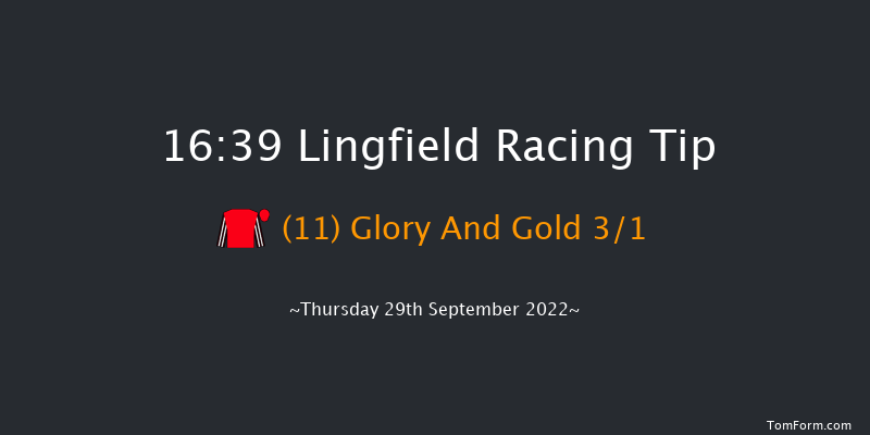 Lingfield 16:39 Handicap (Class 5) 8f Tue 20th Sep 2022