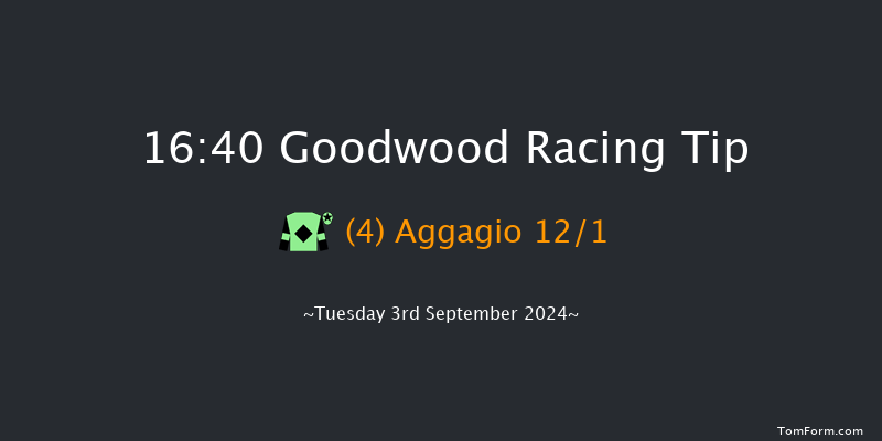 Goodwood  16:40 Handicap (Class 2) 16f Sun 25th Aug 2024