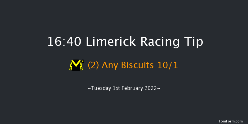 Limerick 16:40 NH Flat Race 16f Wed 29th Dec 2021