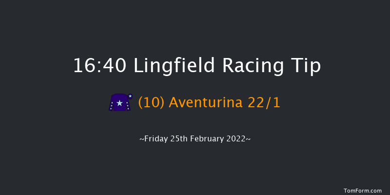 Lingfield 16:40 Handicap (Class 6) 8f Sat 19th Feb 2022