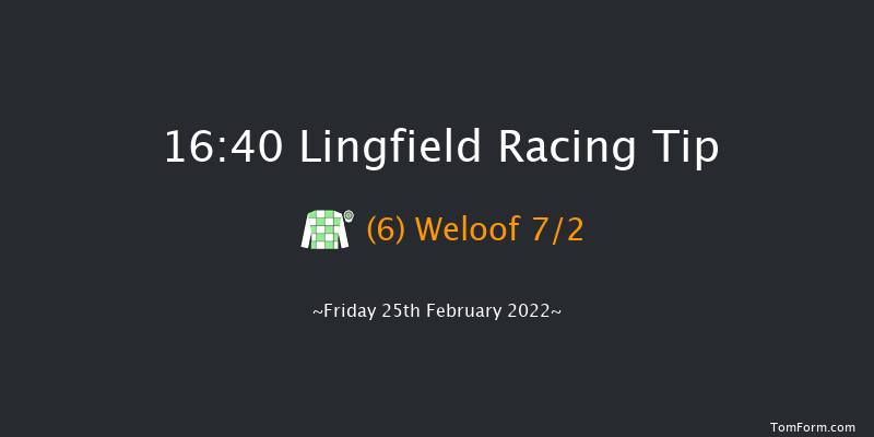 Lingfield 16:40 Handicap (Class 6) 8f Sat 19th Feb 2022