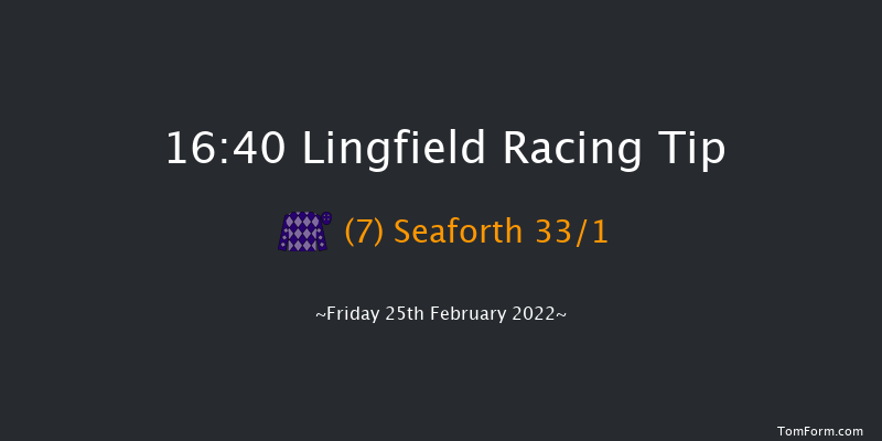 Lingfield 16:40 Handicap (Class 6) 8f Sat 19th Feb 2022