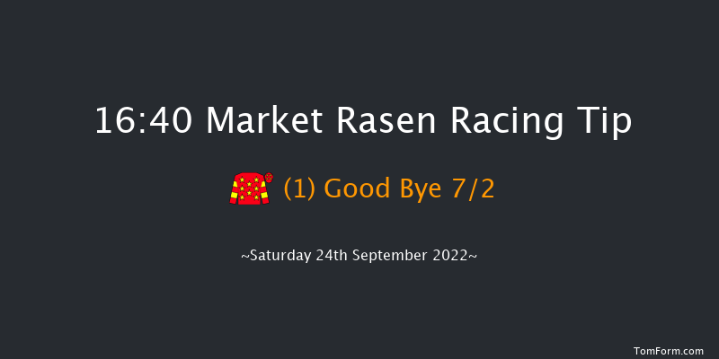 Market Rasen 16:40 Handicap Hurdle (Class 5) 19f Sat 13th Aug 2022