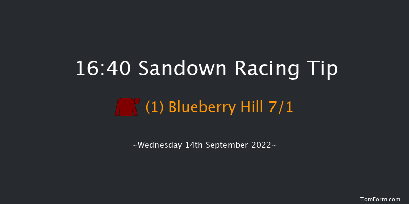 Sandown 16:40 Handicap (Class 4) 10f Sun 21st Aug 2022