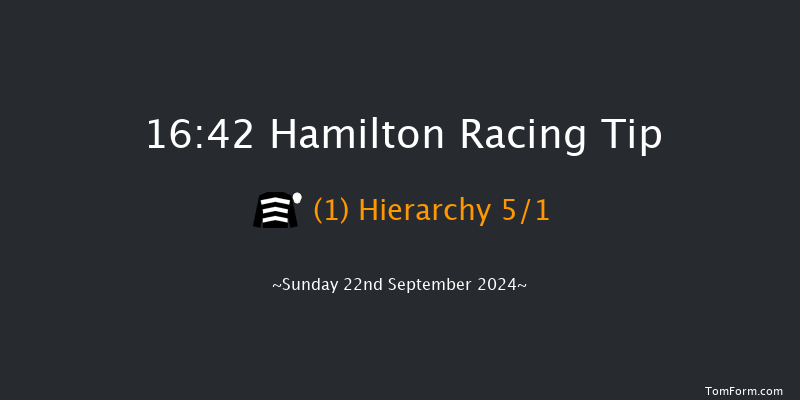 Hamilton  16:42 Handicap (Class 5) 6f  Wed 4th Sep 2024