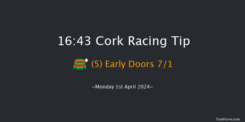 Cork  16:43 Conditions Chase 20f Sun 31st Mar 2024