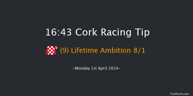 Cork  16:43 Conditions Chase 20f Sun 31st Mar 2024