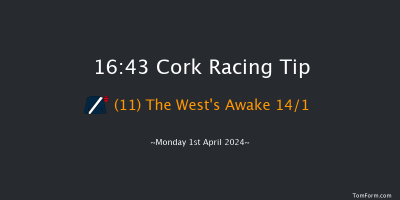 Cork  16:43 Conditions Chase 20f Sun 31st Mar 2024