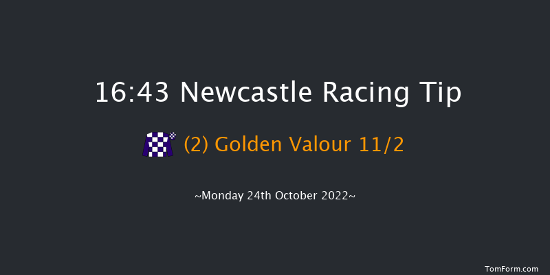 Newcastle 16:43 Handicap (Class 6) 10f Fri 21st Oct 2022