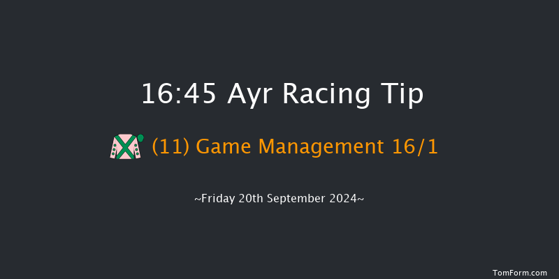 Ayr  16:45 Handicap (Class 5) 8f Thu 19th Sep 2024