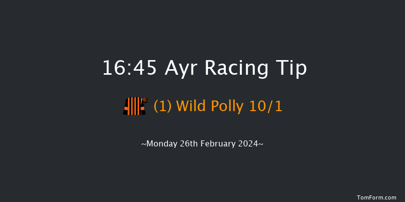 Ayr  16:45 Handicap Hurdle (Class 5) 24f Tue 13th Feb 2024