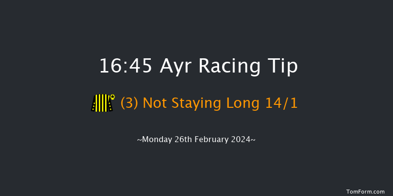 Ayr  16:45 Handicap Hurdle (Class 5) 24f Tue 13th Feb 2024