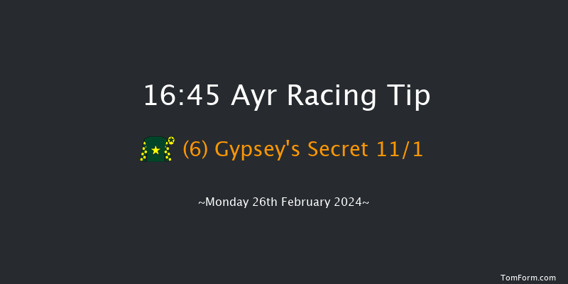 Ayr  16:45 Handicap Hurdle (Class 5) 24f Tue 13th Feb 2024