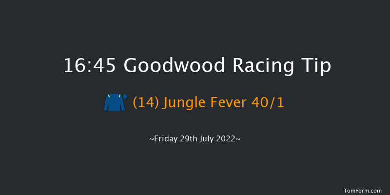 Goodwood 16:45 Handicap (Class 2) 6f Thu 28th Jul 2022