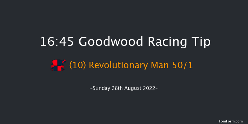 Goodwood 16:45 Handicap (Class 5) 9f Sat 27th Aug 2022