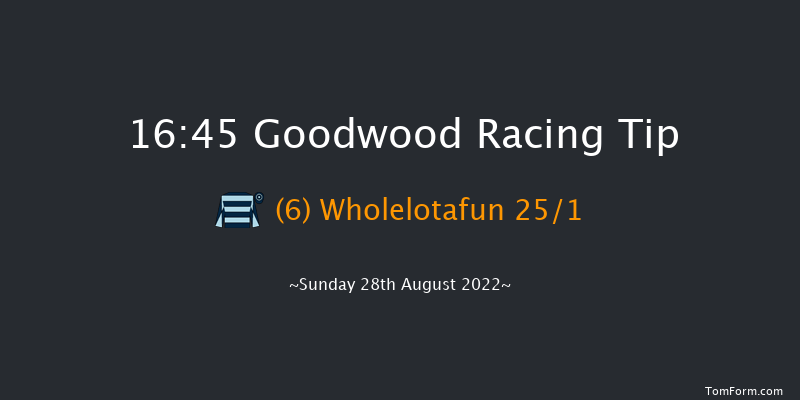 Goodwood 16:45 Handicap (Class 5) 9f Sat 27th Aug 2022