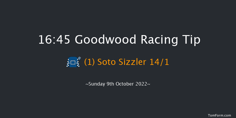 Goodwood 16:45 Handicap (Class 2) 12f Wed 21st Sep 2022