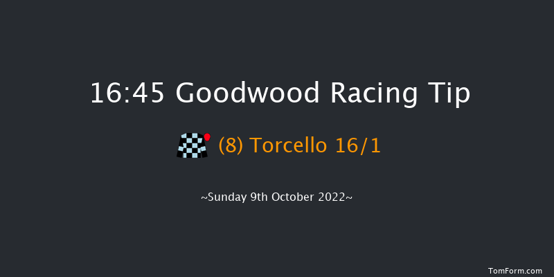 Goodwood 16:45 Handicap (Class 2) 12f Wed 21st Sep 2022