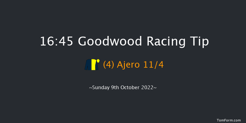 Goodwood 16:45 Handicap (Class 2) 12f Wed 21st Sep 2022