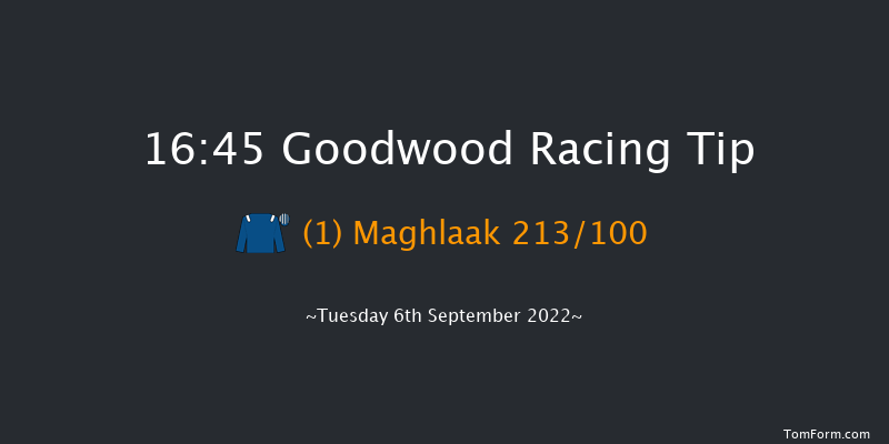 Goodwood 16:45 Stakes (Class 4) 10f Sun 28th Aug 2022