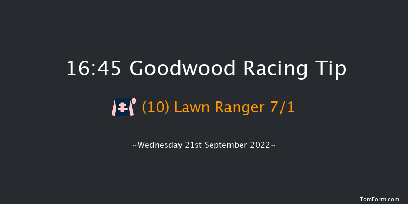 Goodwood 16:45 Handicap (Class 4) 9f Tue 6th Sep 2022