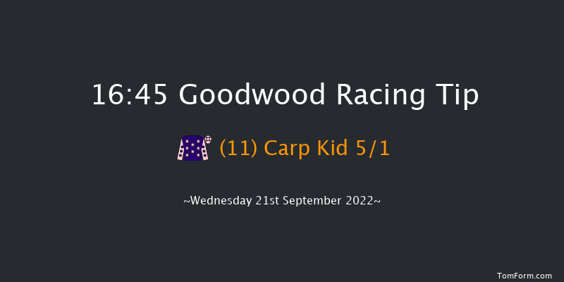 Goodwood 16:45 Handicap (Class 4) 9f Tue 6th Sep 2022