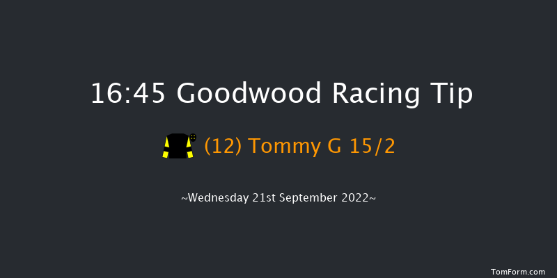 Goodwood 16:45 Handicap (Class 4) 9f Tue 6th Sep 2022