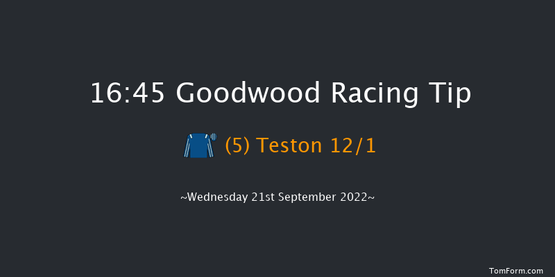 Goodwood 16:45 Handicap (Class 4) 9f Tue 6th Sep 2022