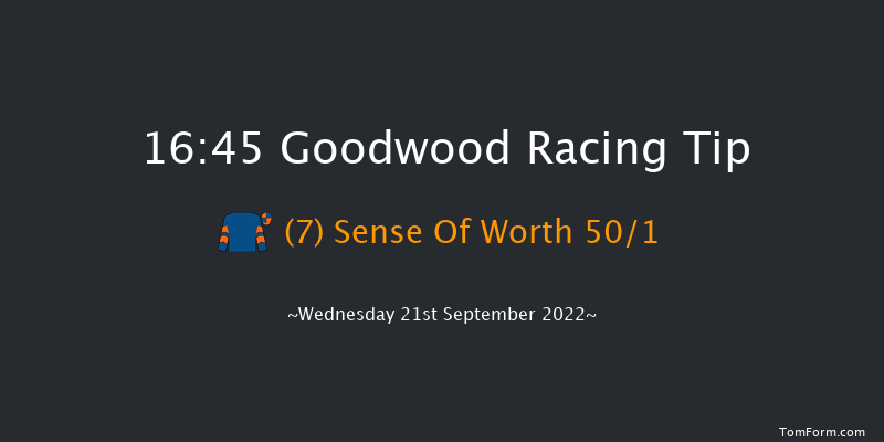 Goodwood 16:45 Handicap (Class 4) 9f Tue 6th Sep 2022