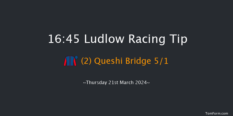 Ludlow  16:45 Handicap Hurdle (Class 4) 16f Thu 29th Feb 2024