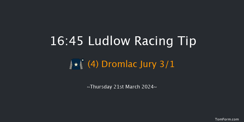 Ludlow  16:45 Handicap Hurdle (Class 4) 16f Thu 29th Feb 2024