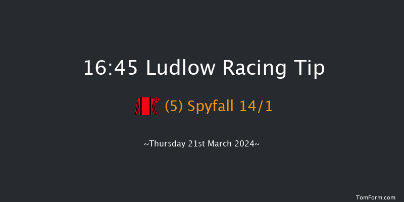 Ludlow  16:45 Handicap Hurdle (Class 4) 16f Thu 29th Feb 2024