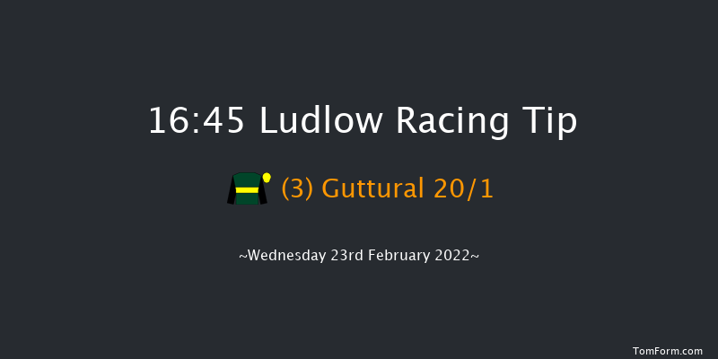 Ludlow 16:45 Handicap Chase (Class 5) 16f Wed 9th Feb 2022