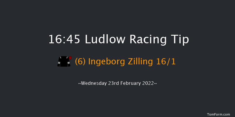 Ludlow 16:45 Handicap Chase (Class 5) 16f Wed 9th Feb 2022