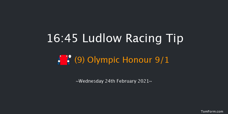 Michael Lumsden Memorial Handicap Hurdle Ludlow 16:45 Handicap Hurdle (Class 3) 16f Thu 21st Jan 2021