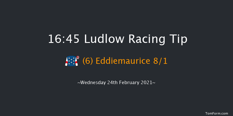 Michael Lumsden Memorial Handicap Hurdle Ludlow 16:45 Handicap Hurdle (Class 3) 16f Thu 21st Jan 2021