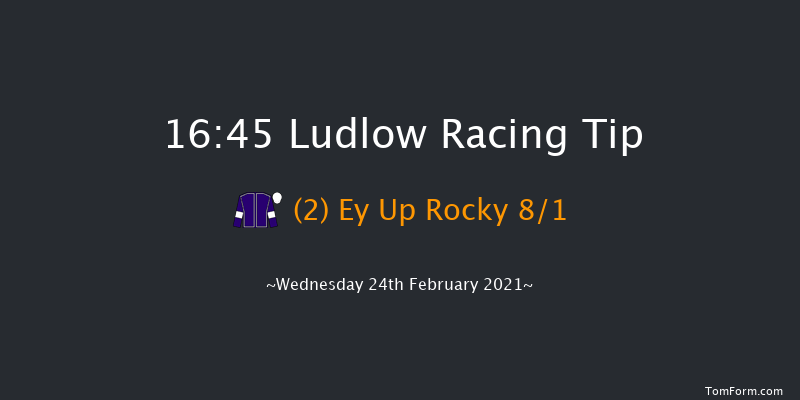 Michael Lumsden Memorial Handicap Hurdle Ludlow 16:45 Handicap Hurdle (Class 3) 16f Thu 21st Jan 2021