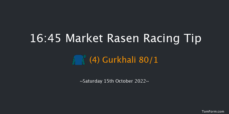 Market Rasen 16:45 NH Flat Race (Class 5) 13f Sat 24th Sep 2022