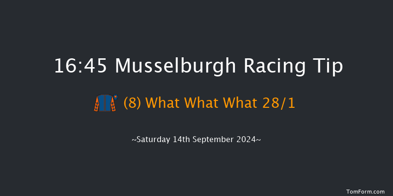 Musselburgh  16:45 Maiden (Class 4) 7f Wed 28th Aug 2024