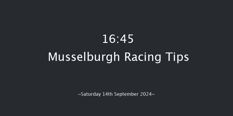 Musselburgh  16:45 Maiden (Class 4) 7f Wed 28th Aug 2024