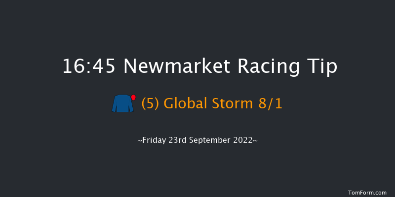 Newmarket 16:45 Listed (Class 1) 12f Thu 22nd Sep 2022