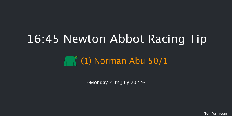 Newton Abbot 16:45 NH Flat Race (Class 5) 17f Sun 17th Jul 2022