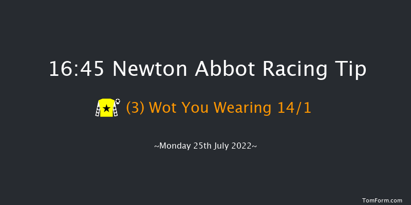 Newton Abbot 16:45 NH Flat Race (Class 5) 17f Sun 17th Jul 2022