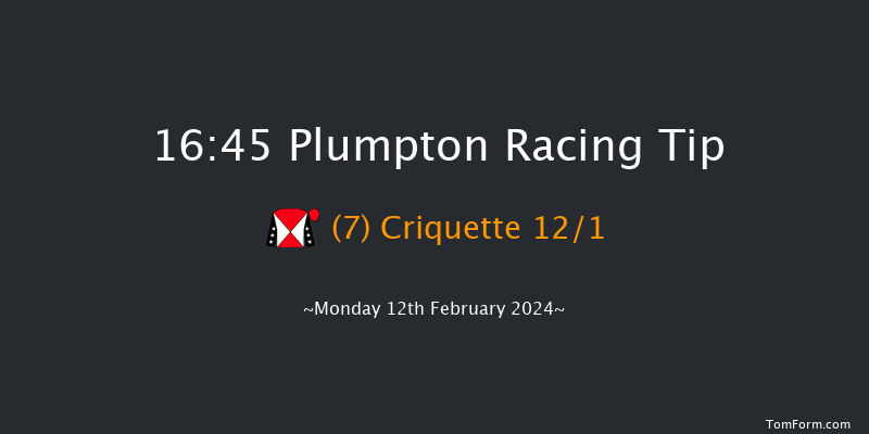 Plumpton  16:45 Handicap Hurdle (Class 5)
16f Mon 29th Jan 2024