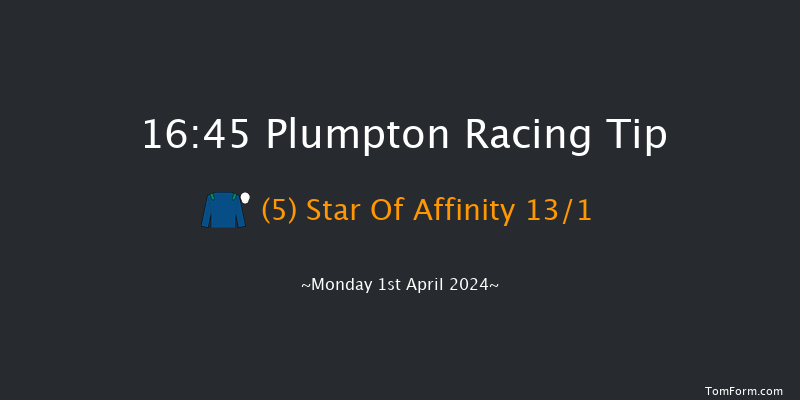 Plumpton  16:45 Handicap Hurdle (Class 5)
18f Sun 31st Mar 2024