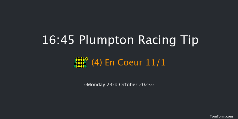 Plumpton 16:45 Handicap Chase (Class 5) 20f Sun 24th Sep 2023